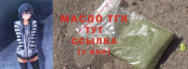 соль ск Бородино