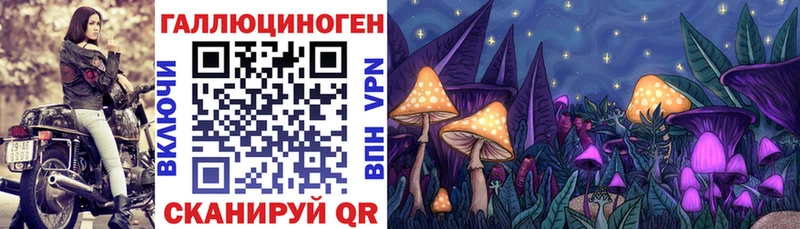 это телеграм  Оленегорск  Псилоцибиновые грибы Psilocybine cubensis  где купить  